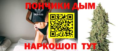 скорость Кингисепп