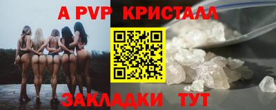 скорость Кингисепп