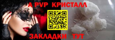 скорость Кингисепп